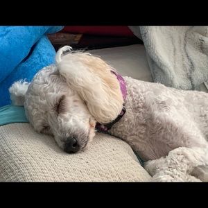 Meet your Posher, Greg